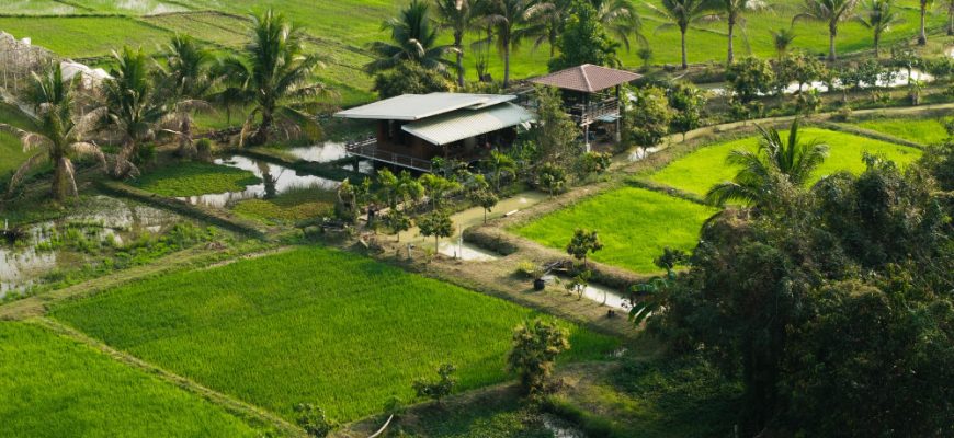 Vietnam Börse investieren: Chancen auf einem dynamischen Aktienmarkt