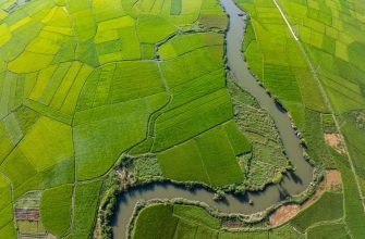Vietnam Fonds: Neue Chancen in einem dynamischen Marktumfeld