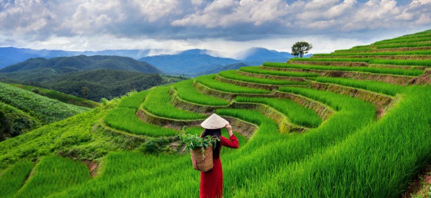 Vietnam 2025: A Compelling Destination for Investment Funds