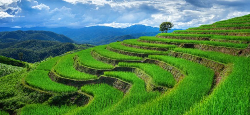 Vietnam: Growth, Transformation and the Role of Active Equity Funds