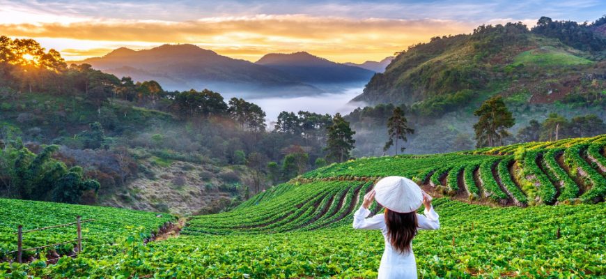Vietnam 2025: Public Equity im Fokus